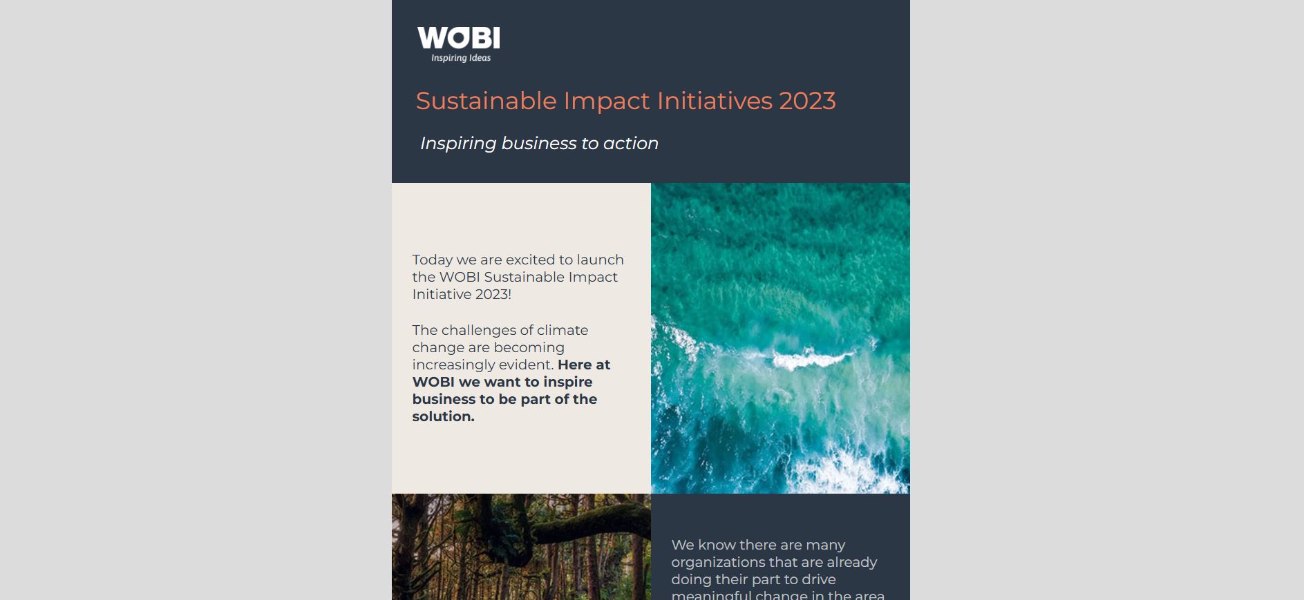 newsletter_sustainable_wobi